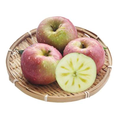 正宗大凉山特产盐源野生冰糖心红富士丑苹果8斤净重新鲜应季水果