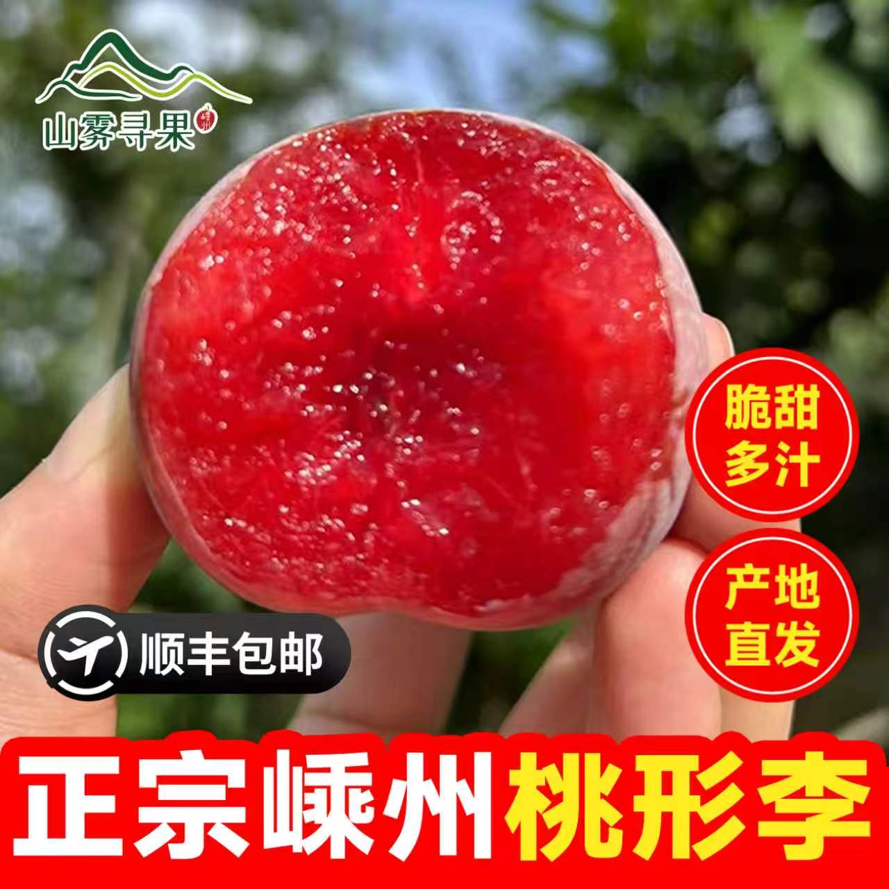 嵊州桃形李子新鲜水果当