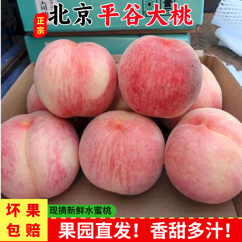 北京平谷大桃水蜜桃应季