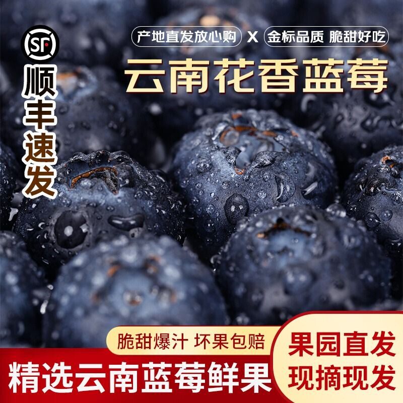 云南花香蓝莓新鲜水果当季蓝莓特大果国产孕妇一整箱顺丰速发