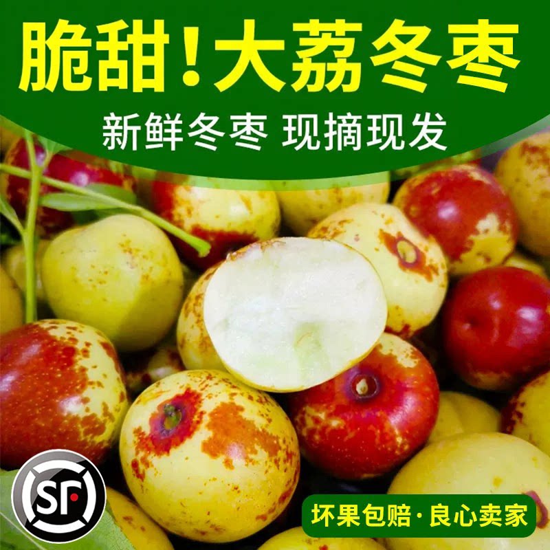 冬枣陕西大荔新鲜现摘脆