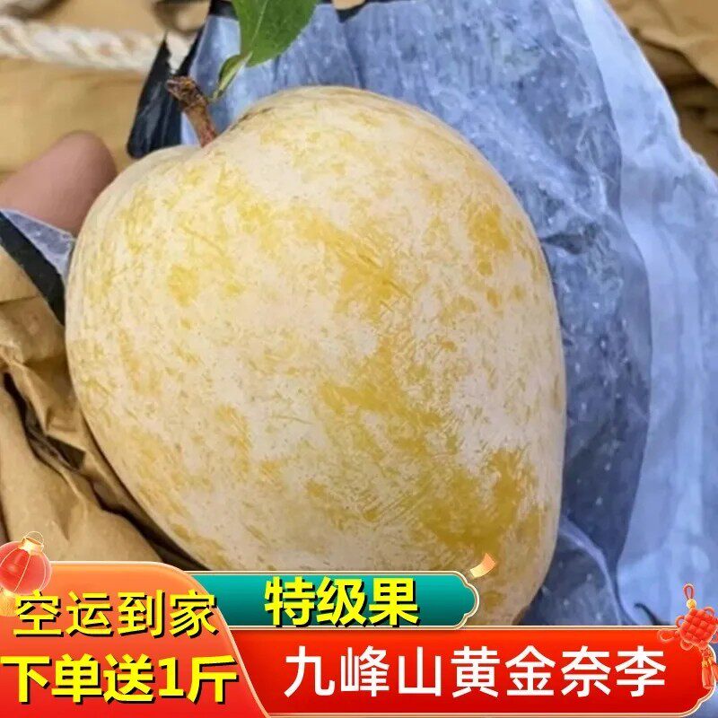 广东韶关乐昌九峰山特大