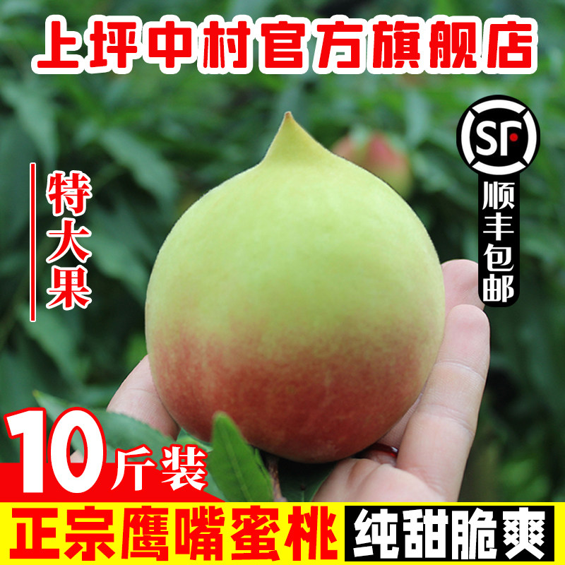 【顺丰包邮】广东河源上