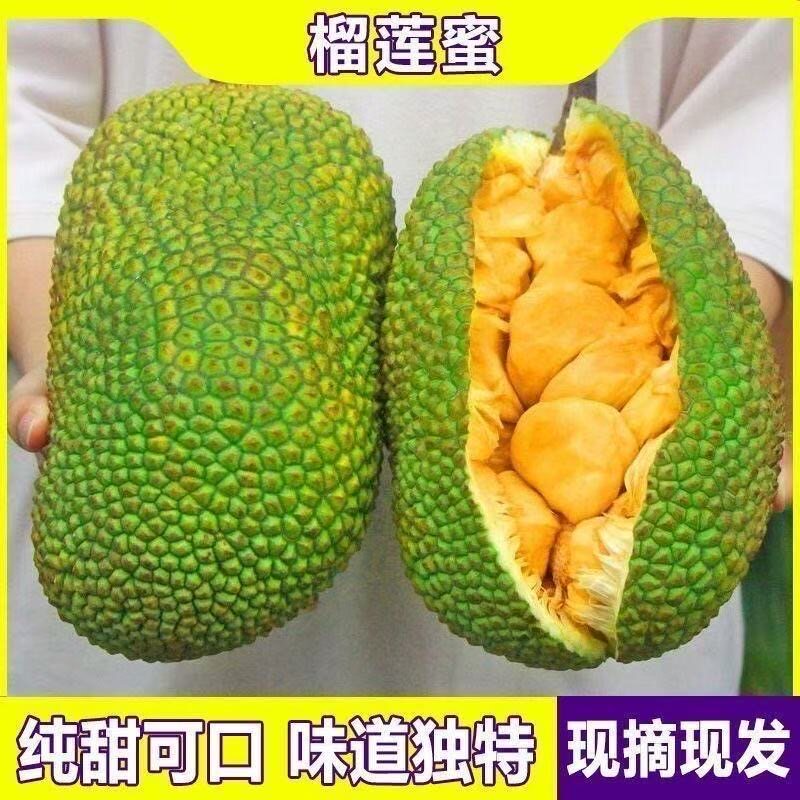海南三亚榴莲蜜热带水果