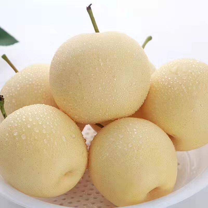 梨子新鲜水果皇冠当季甜
