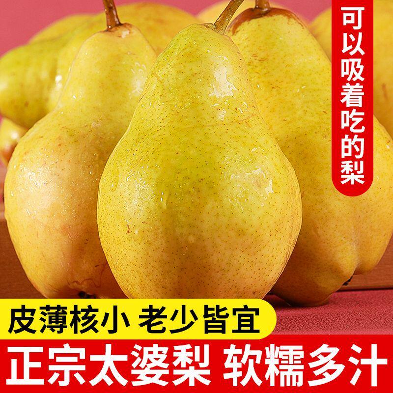 现摘太婆梨新鲜梨子水果