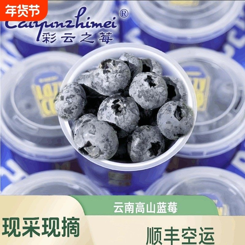 云南花香高山蓝莓小蓝杯礼盒装新鲜果水果大果顺丰巨无霸现摘脆甜,包装,水果包装,淘宝优惠券,粉丝福利购,淘宝优惠卷