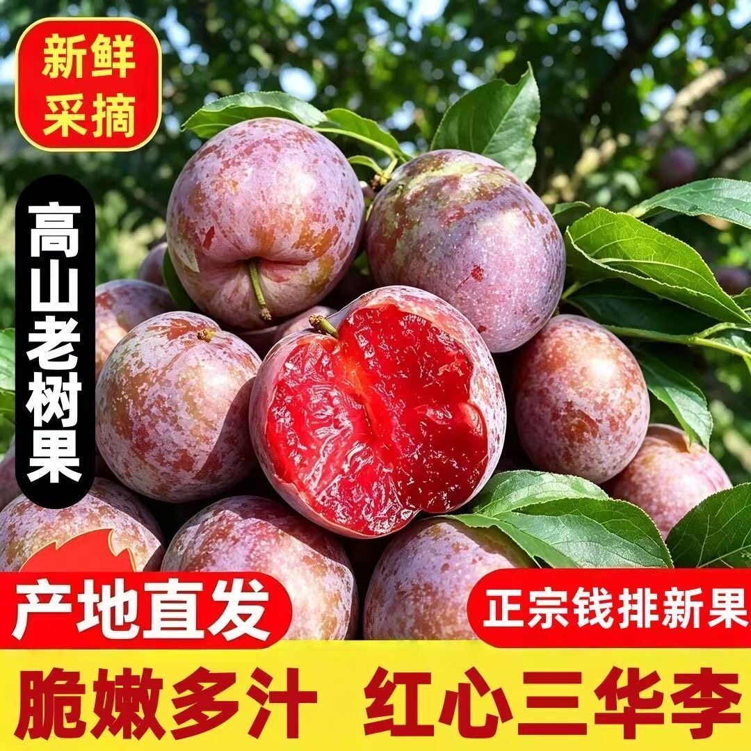 广西三华李水果红心李子