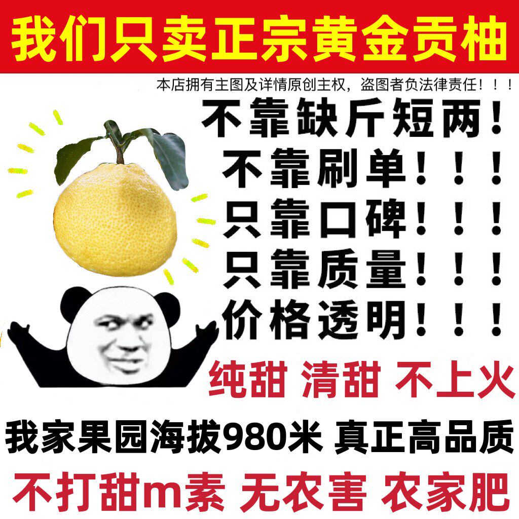 湖南怀化洪江黄金贡春香桔象山青柚子新鲜水果10斤礼盒精装爆汁