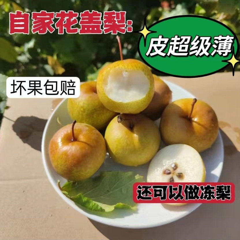 东北花盖梨五斤包邮好吃大水果整箱包邮脆甜多汁正宗孕妇梨子