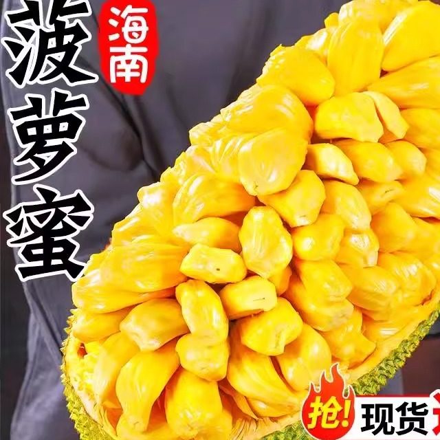 海南黄肉菠萝蜜新鲜水果2