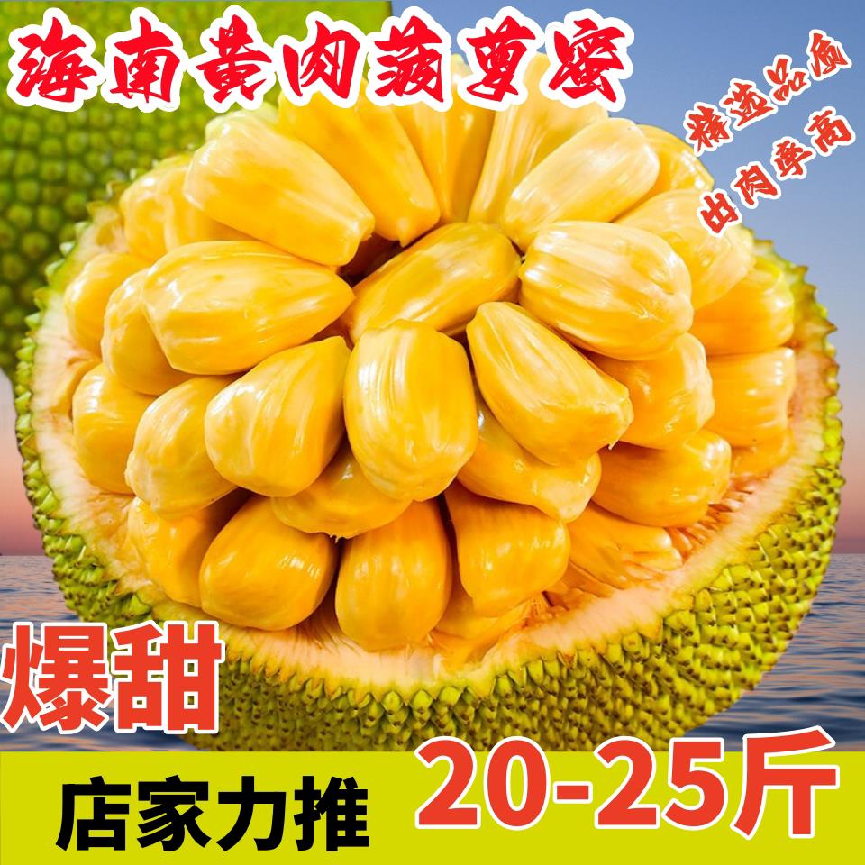 现摘海南菠萝蜜干苞脆甜当季一整个新鲜水果包邮孕妇黄肉整箱