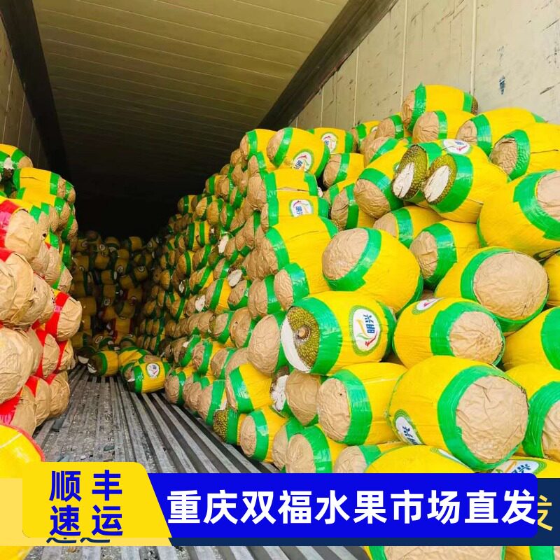 越南红肉菠萝蜜新鲜脆甜