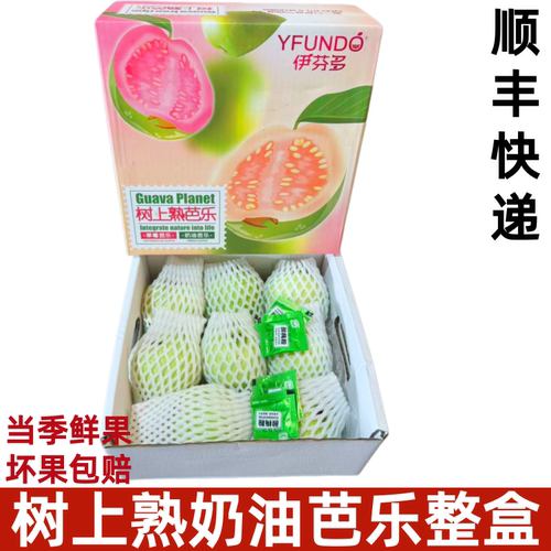 树上熟奶油芭乐新鲜水果