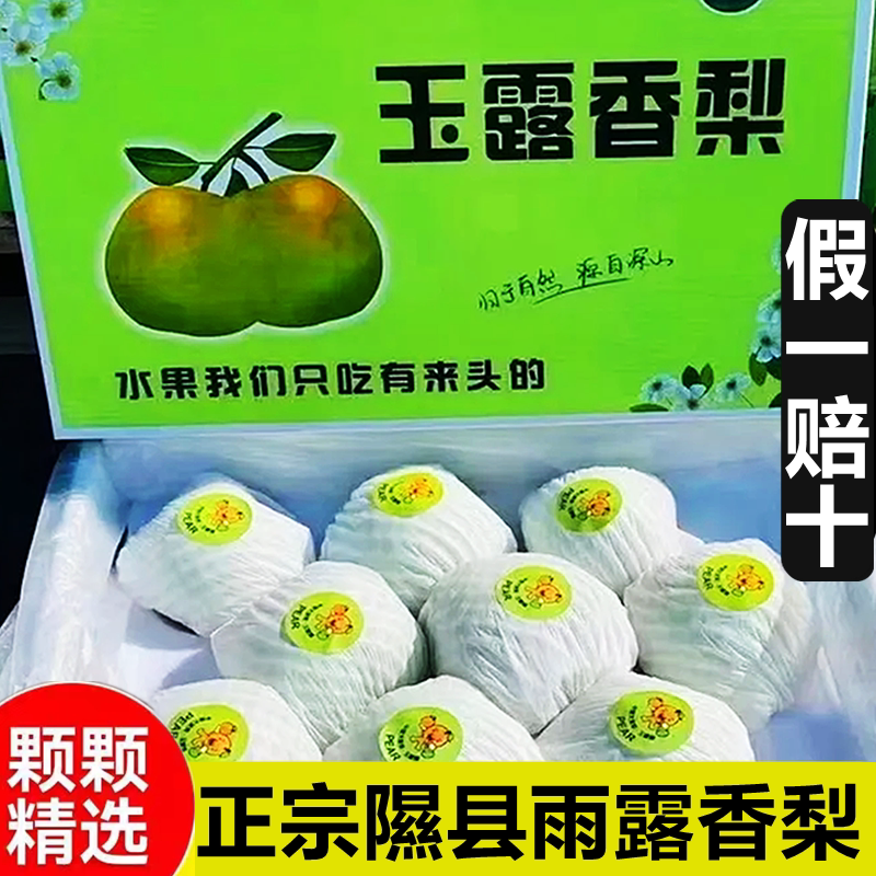 正宗山西隰县玉露香梨当季新鲜水果整箱雪梨子大酥顺丰礼盒装包邮
