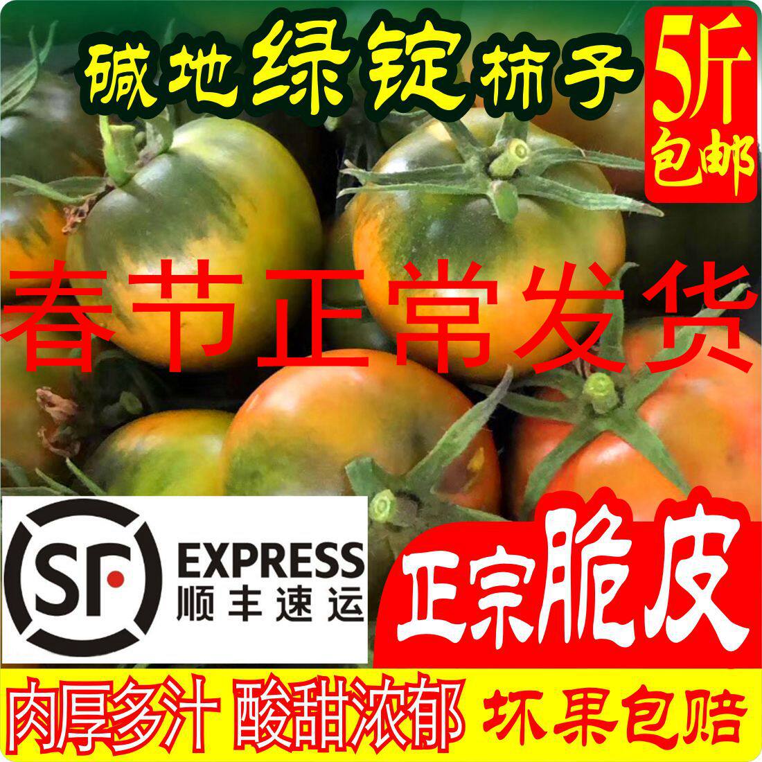 盘锦碱地柿子西红柿孕妇草莓鹰爪铁皮番茄绿腚水果