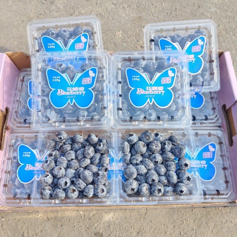 云南花蝶香蓝莓鲜果原箱礼盒12盒大果当季新鲜水果脆甜多汁包邮,包装,水果包装,淘宝优惠券,粉丝福利购,淘宝优惠卷