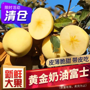 昆嵛山黄金奶油富士苹果牛奶脆甜皮薄礼盒水果新鲜非黄元帅金帅
