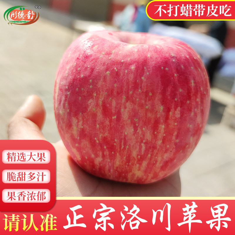 正宗洛川苹果陕西红富士