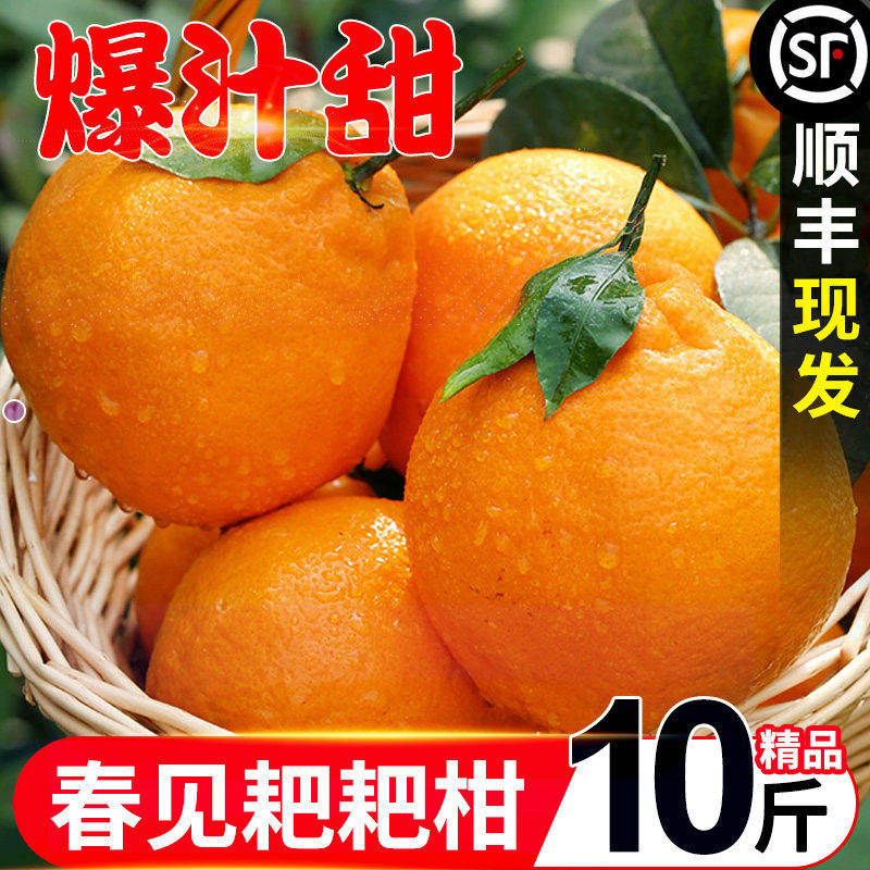 顺丰包邮10斤特级四川春见耙耙柑新鲜孕妇水果粑粑柑杷杷丑桔子橘,包装,水果包装,淘宝优惠券,粉丝福利购,淘宝优惠卷