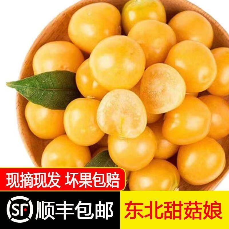 【顺丰包邮】东北姑娘果