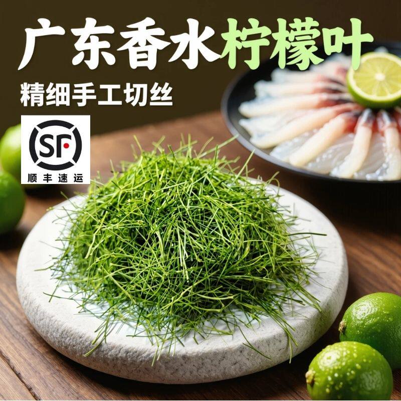 新鲜广东香水柠檬叶现摘