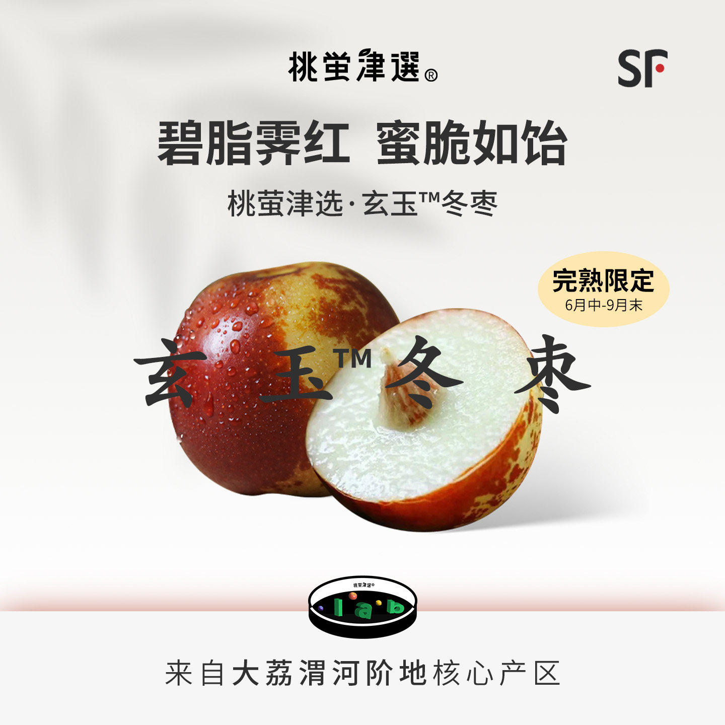 桃萤津选玄玉大荔冬枣