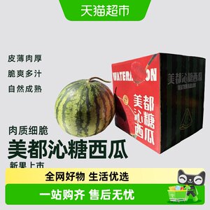 枝上至上美都沁糖西瓜当