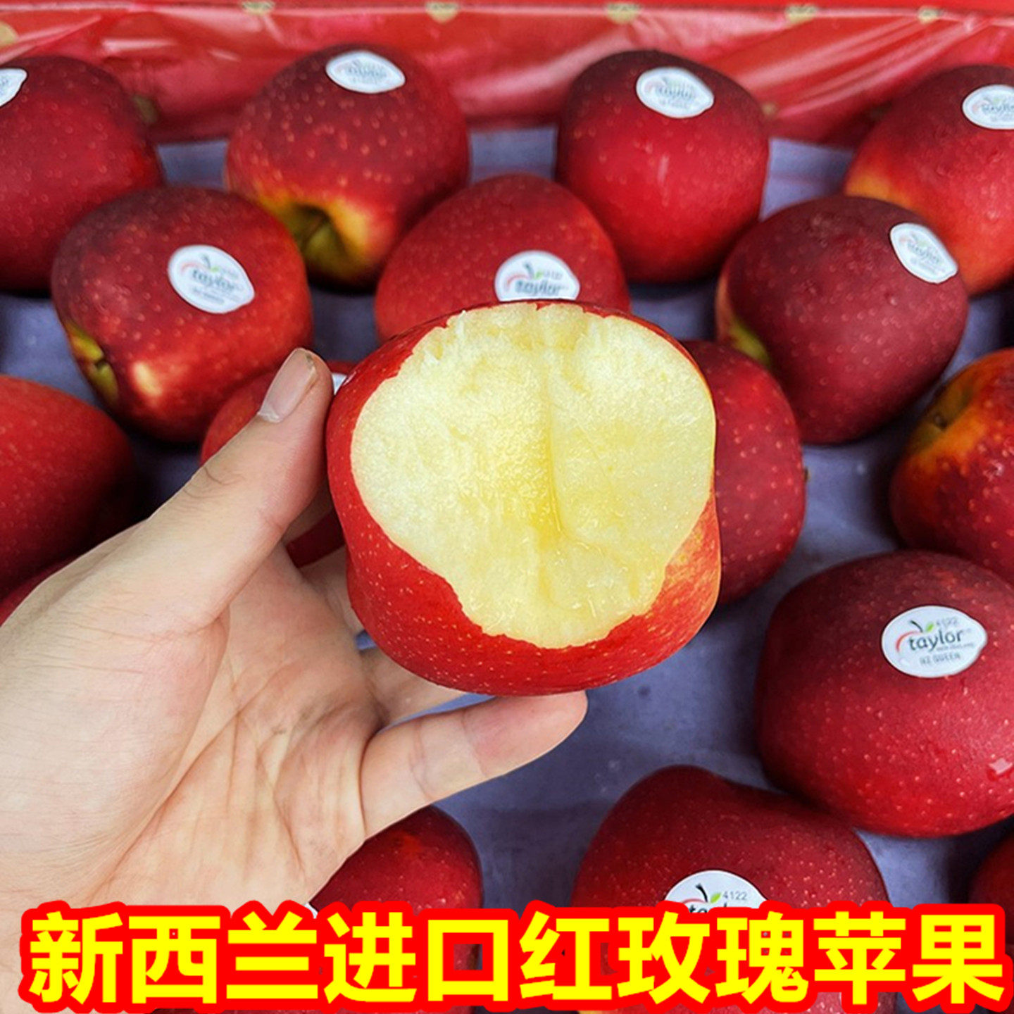 新货正宗新西兰进口泰勒t