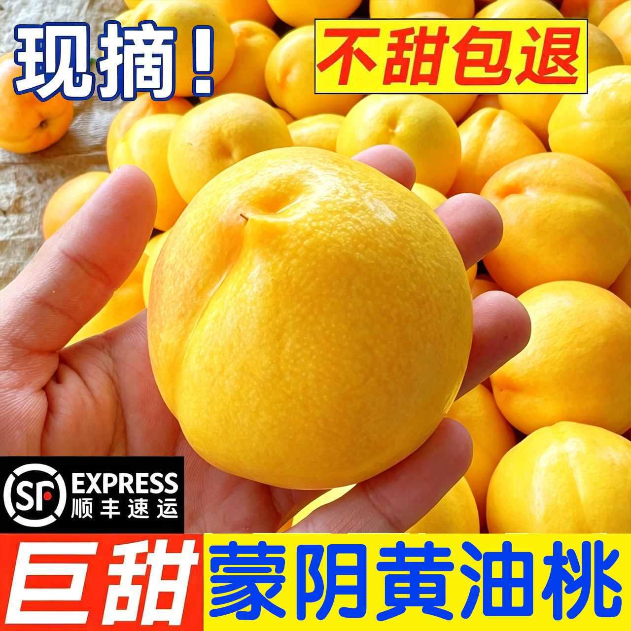 黄油桃新鲜水果大果山东