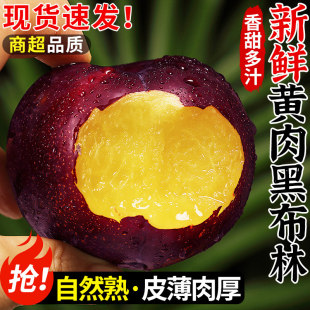黄肉黑布林李子新鲜当季水果现摘黄心三月李子恐龙蛋大果整箱包邮