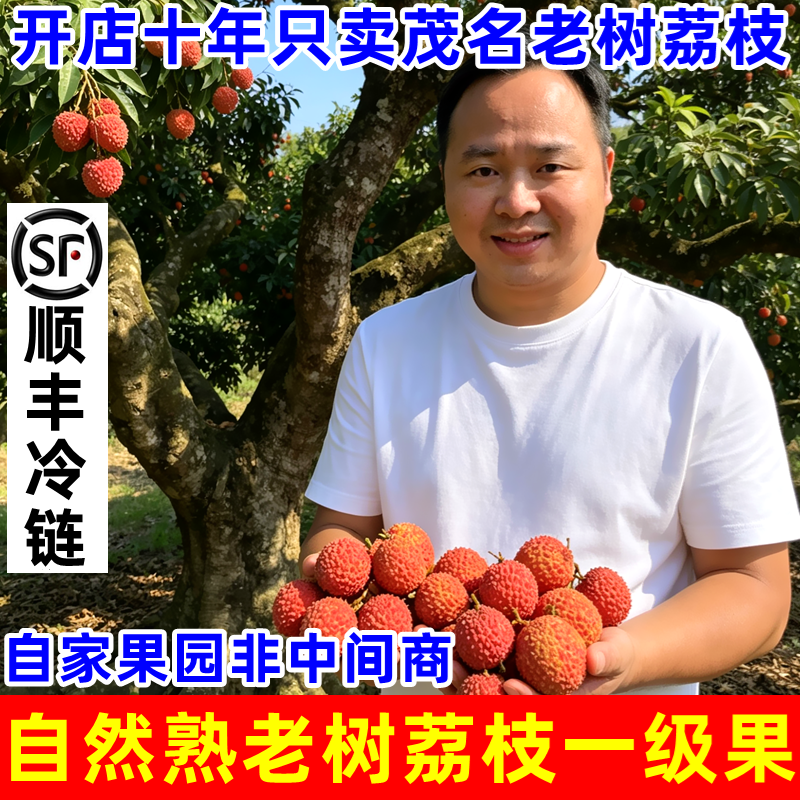 正宗茂名高州老树白糖罂