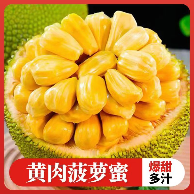 正宗海南菠萝蜜新鲜水果包邮当季孕妇波罗蜜一整个干苞黄肉价