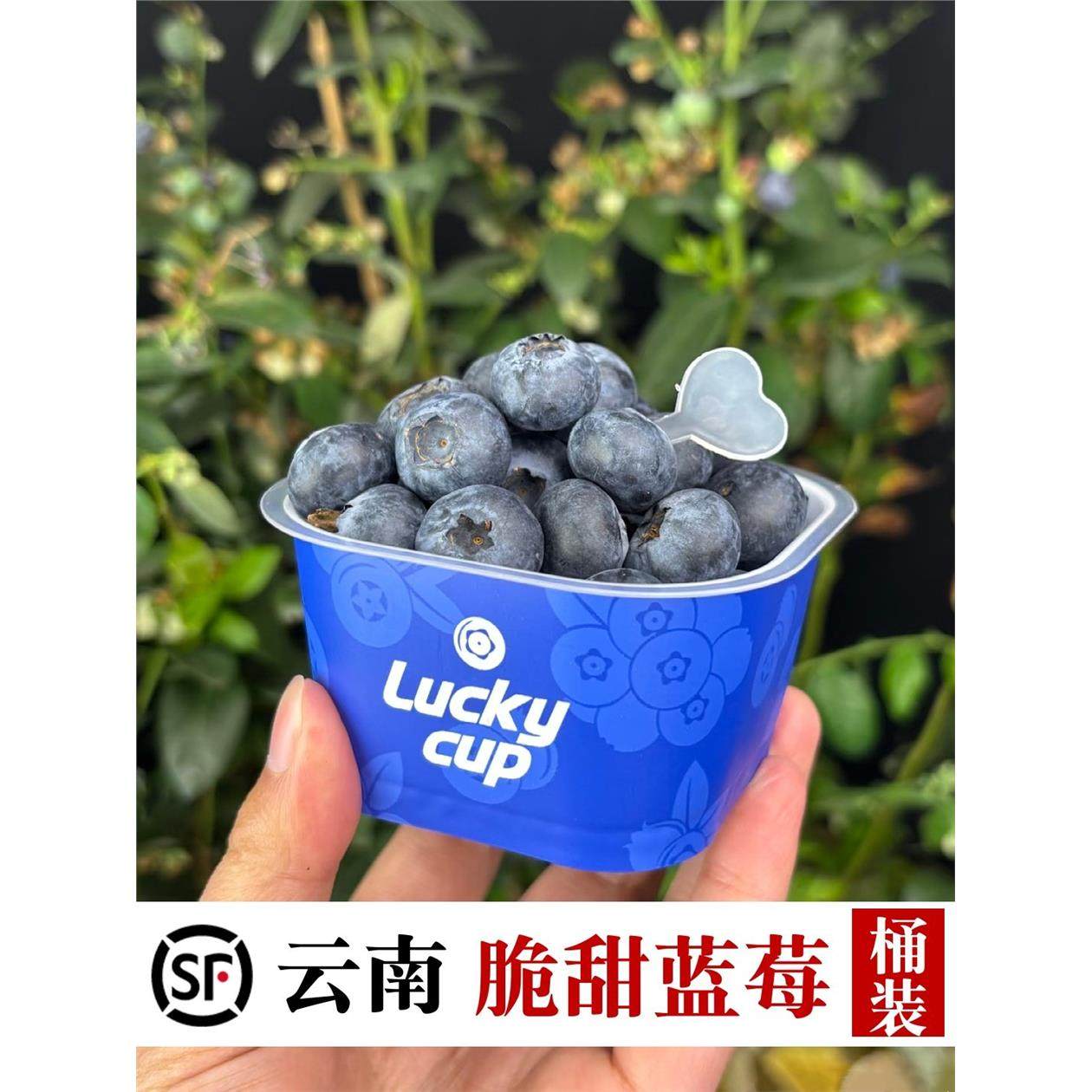 花香蓝莓云南鲜果小懒杯L25脆纯甜新鲜水果当季孕妇礼盒杯桶装,包装,水果包装,淘宝优惠券,粉丝福利购,淘宝优惠卷