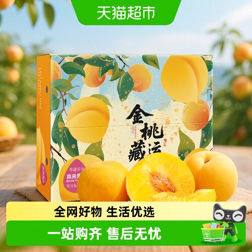 正宗湖北枣阳皇桃锦绣黄