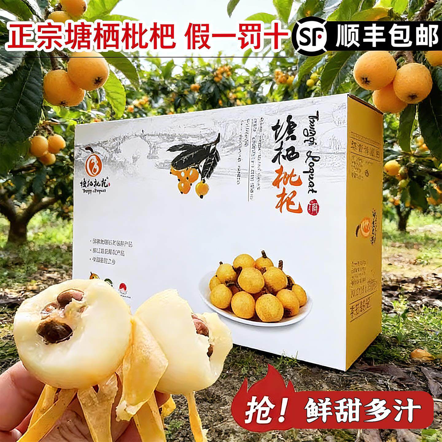 【正宗塘栖枇杷】杭州软条白沙枇杷杭州白玉枇杷琵琶顺丰包邮礼盒