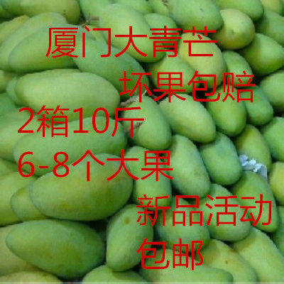 厦门大青芒台湾果香甜金