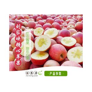 永靖县佳农源刘家峡特产黑台冰糖心红富士精选苹果10斤5斤包邮