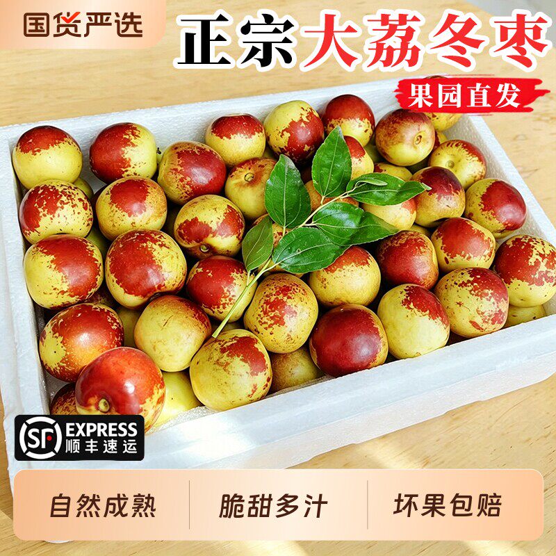 陕西大荔冬枣脆甜枣子新鲜当季水果鲜枣原产地直发自然熟顺丰包邮