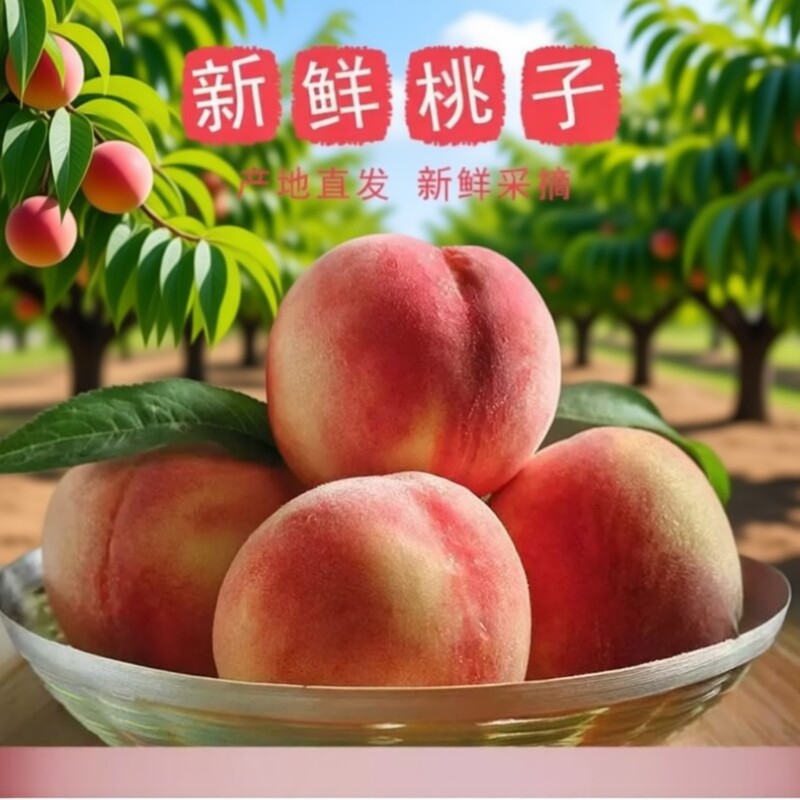 安徽正宗水蜜桃新鲜毛果