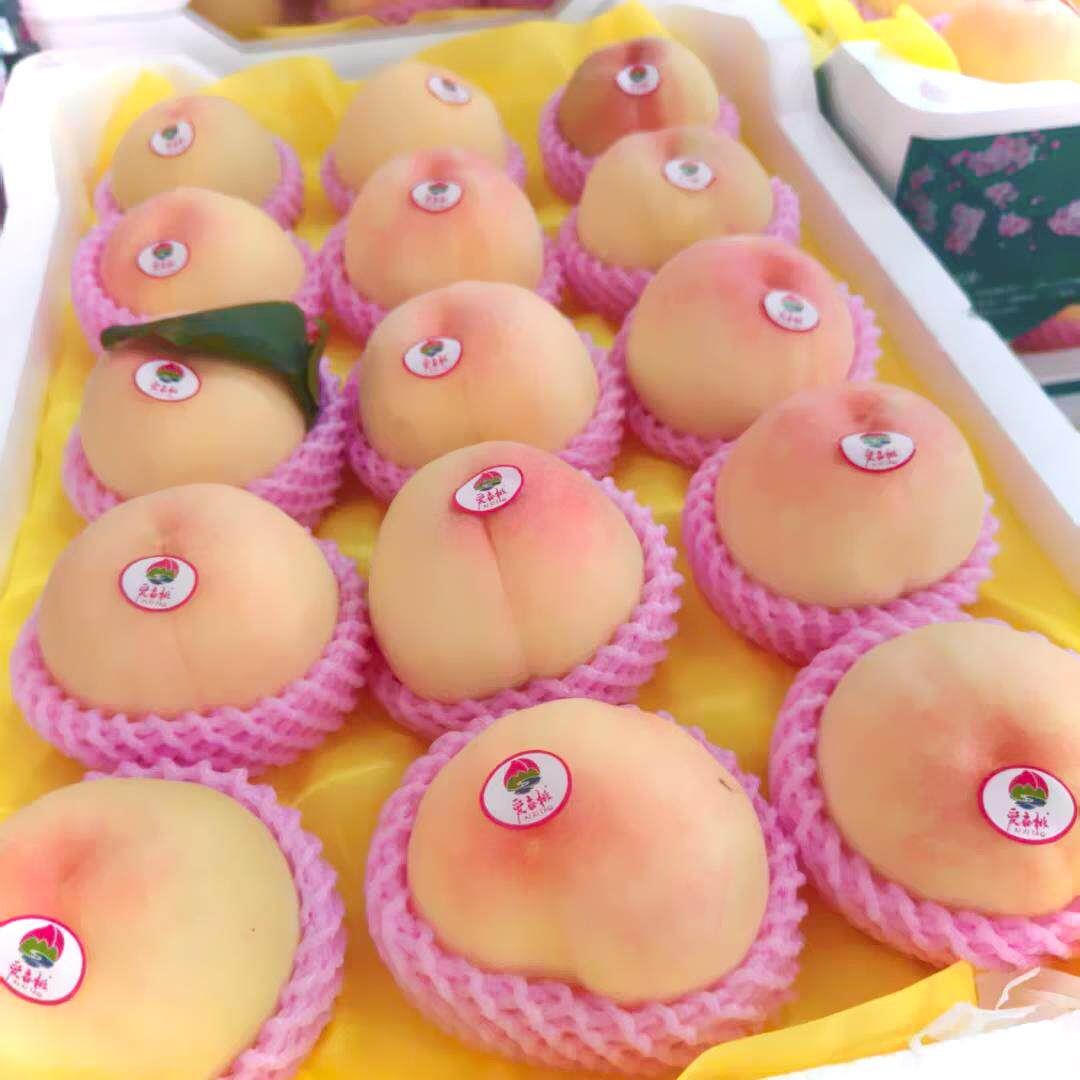正宗嘉兴凤桥三星水蜜桃