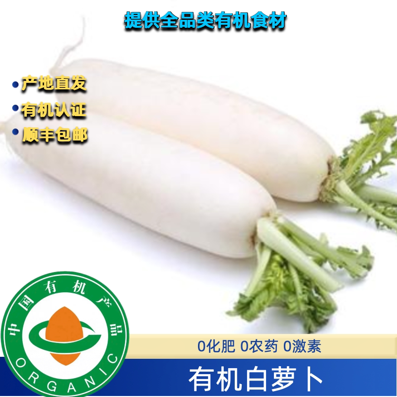 有机白萝卜5斤装,认证榨