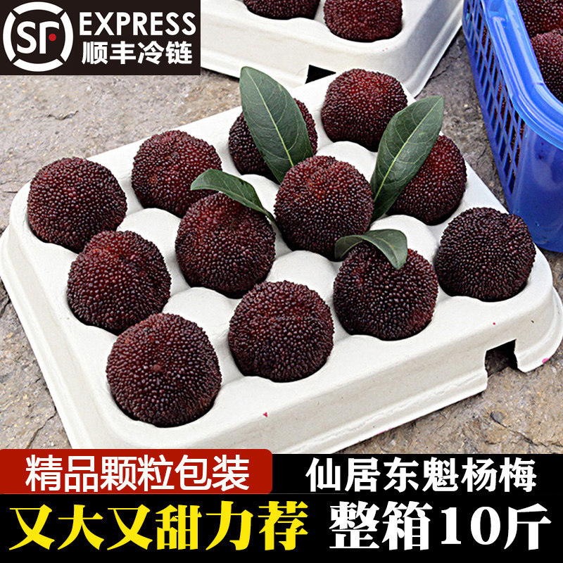 现摘正宗仙居东魁杨梅乒