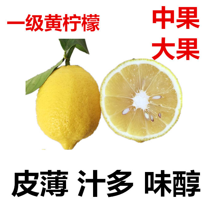30斤装本季新鲜柠檬中果
