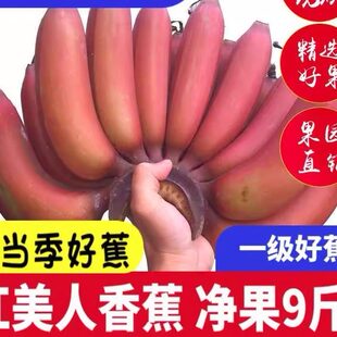 海南红美人红皮香蕉5斤海口当季新鲜网红咖啡蕉孕妇水果整箱芭蕉