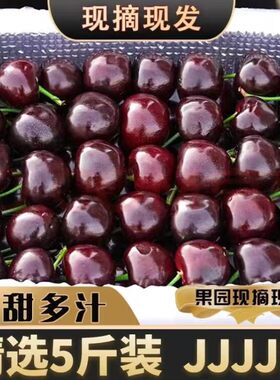 大连美早大樱桃国产车厘