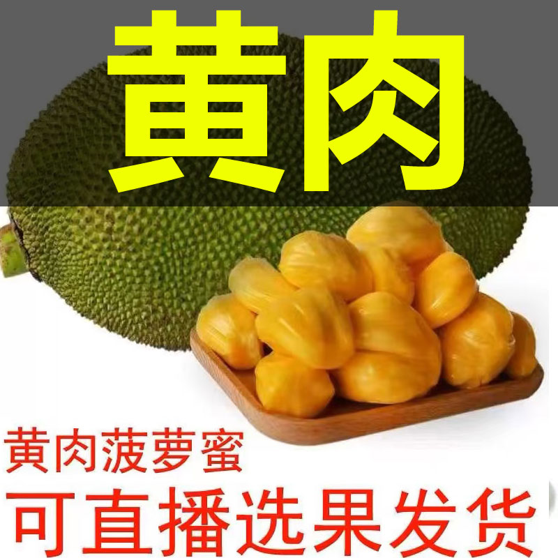 【黄肉12-35】海南菠萝蜜