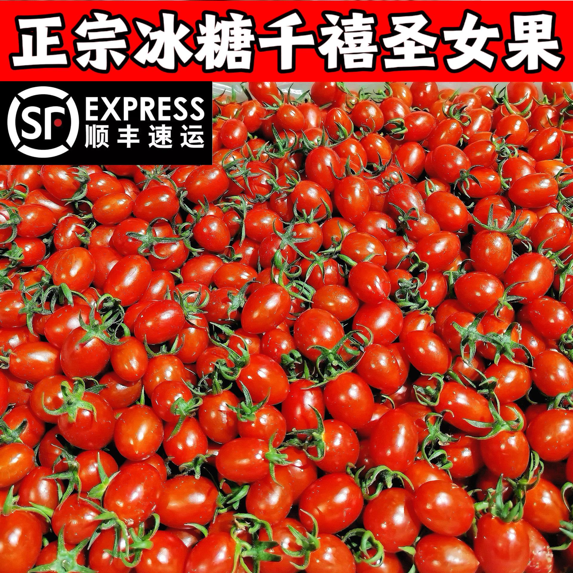 正宗玲珑千禧圣女果清甜