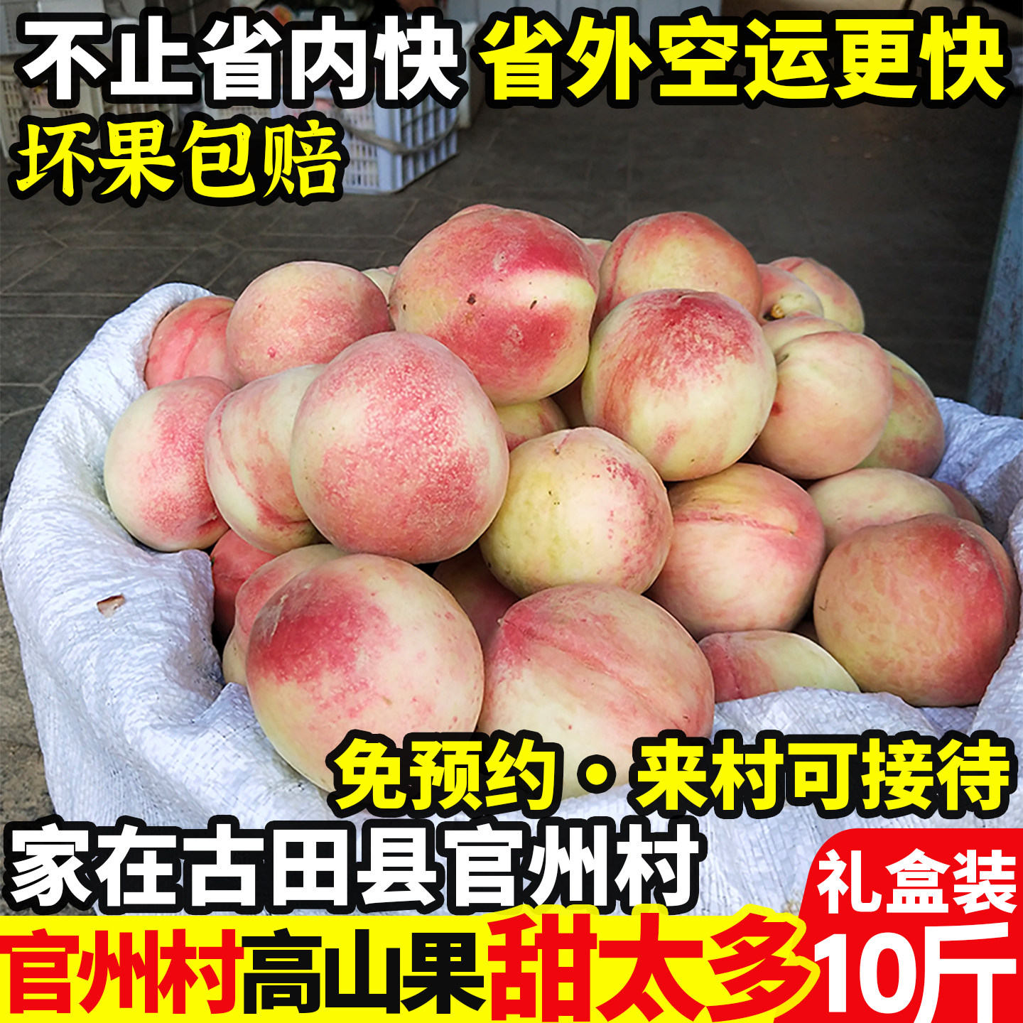 正宗古田水蜜桃白凤新鲜