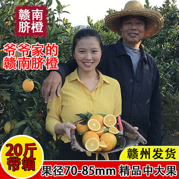 正宗江西赣南脐橙甜带箱20斤橙子新鲜当季赣州寻乌产地直发